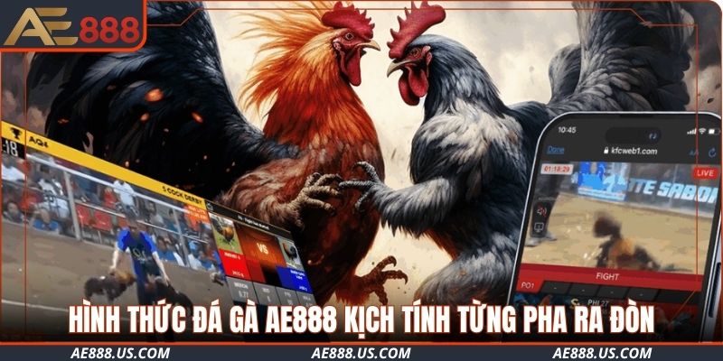 Hình thức đá gà AE888 kịch tính từng pha ra đòn
